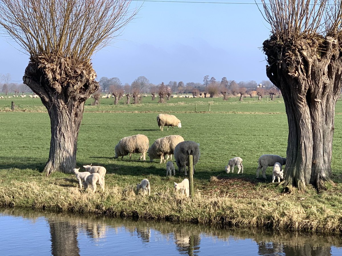 Lente is begonnen! #lente