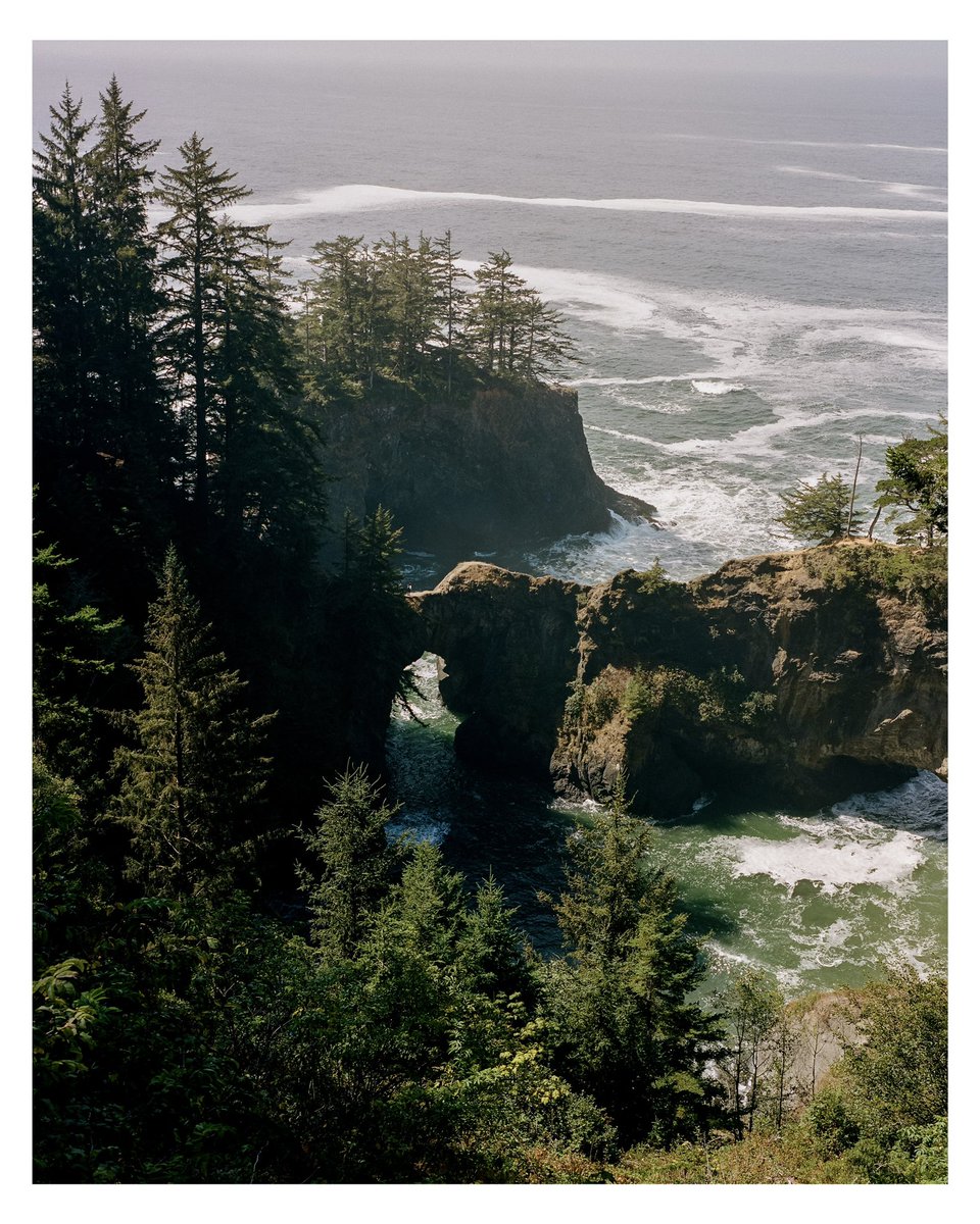 jacobetovar's tweet photo. slices of oregon on 120 and 35mm https://t.co/C0bWNQzhcQ
