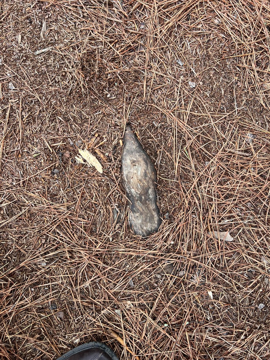 MarcellDGSpates's tweet photo. @CocaCola didn’t know there’s a woodgrain bottle…found this walking today https://t.co/d31bk8IYsp