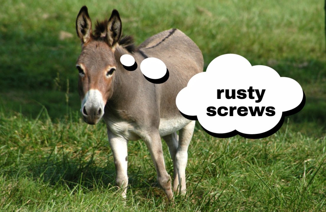 throwingcurses's tweet photo. happy #nickday @bearsintrees i dont even remember what the donkey was about but uh . here https://t.co/HgjrA8gmHH
