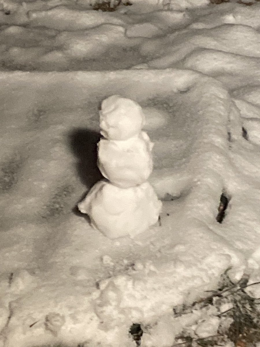 rick_leabo's tweet photo. Snow in the Phoenix area?!?!?! Yes sir. https://t.co/iM0CsyhKUG