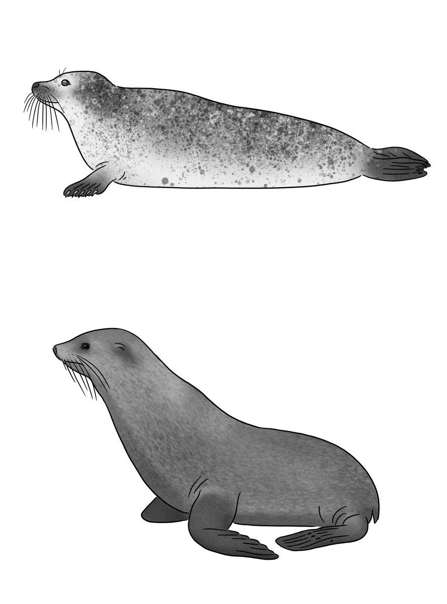 挿絵の仕事 