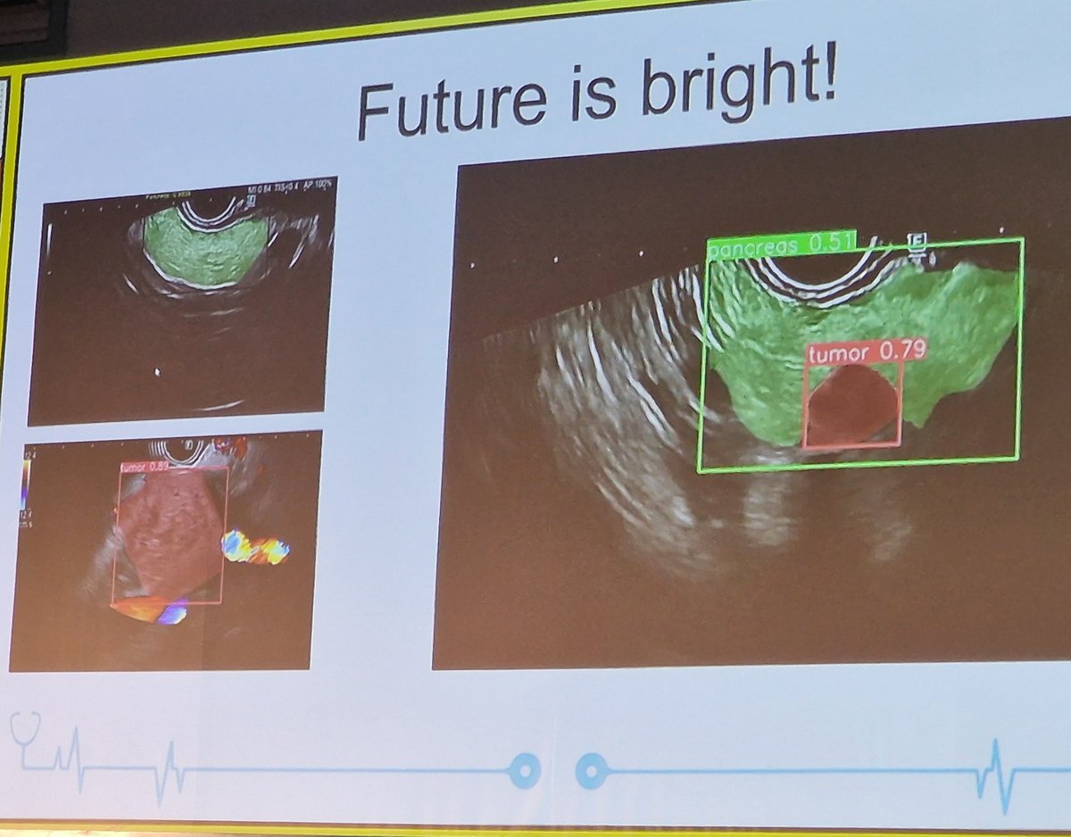 SyedGerdezi's tweet photo. Is the future of #EUS bright or colourful?? ๐จ
Artificial intelligence #AI in the #NextGenEus; a game changer?
#EuroEus2023
@SanRaffaeleMI https://t.co/lFC0XKBsvQ