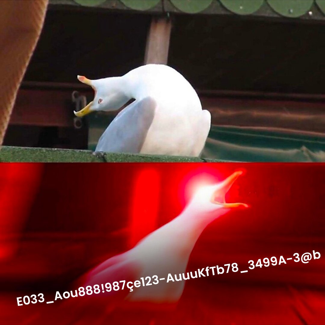 SFR's tweet image. "Papa tu peux m'épeler le code WIFI ?"​
​
Papa :