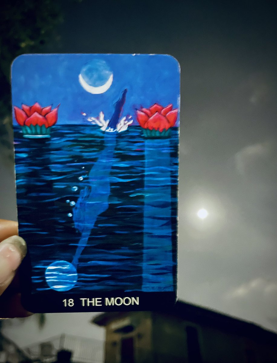 gateway_plug's tweet photo. Tarot Offering: The Moon

So much of Me is made up of reactions to my fears. 

I forget that I was once Earth, am still just Earth, and so I fear becoming Earth again. 

Confounded by the illusions of pain, rejection, and death, I've constructed a reality surrounded by them. https://t.co/tgjgvAgjX9