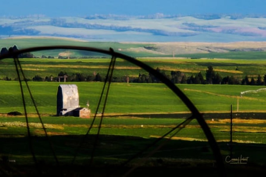 CherbertsImages's tweet photo. @SiKImagery Angles of wheel wheel spokes framing a vintage grain silo. https://t.co/D4X6Z6PDll