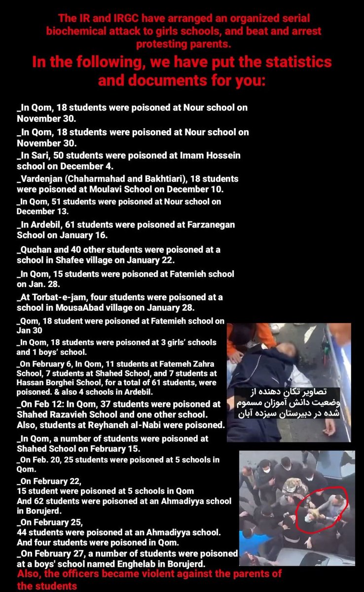 ●پرتو● tweet media