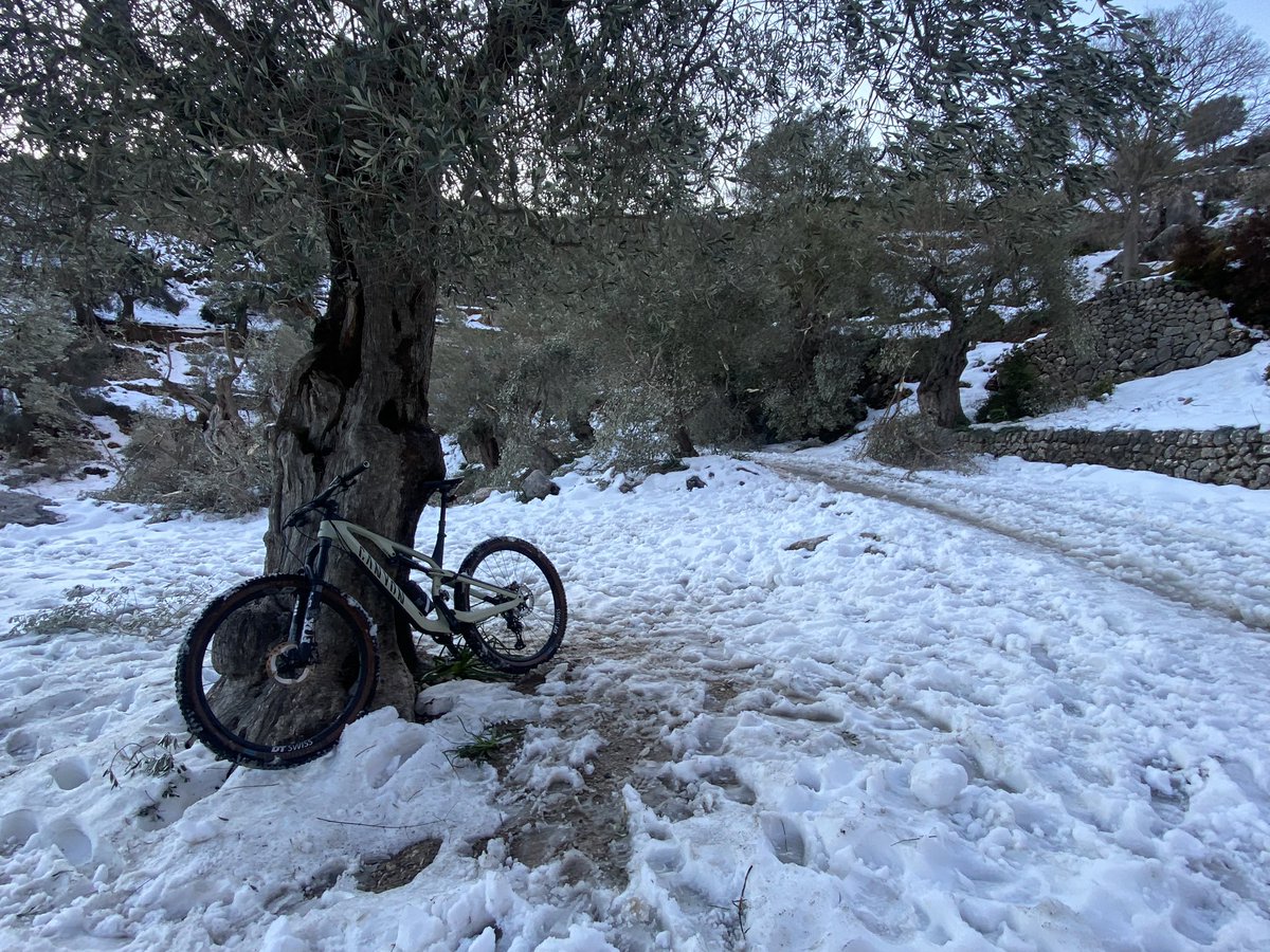 3404metros's tweet image. Intento de #mountainbike al Castell d’Alaró. No llevaba cadenas ⛓️ 😂. Nieve demasiado húmeda para progresar y pedalear #serratramuntana #mallorca @ElTiempoA3 @tiempobrasero