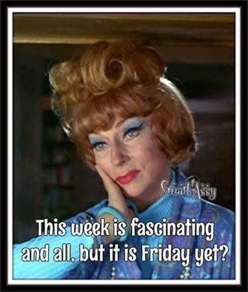 One more day!
#ThursdayMotivation #Memes #humor #Bewitched #thursdayvibes