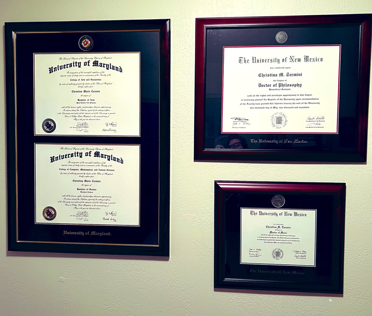 Tina Termini tweet media