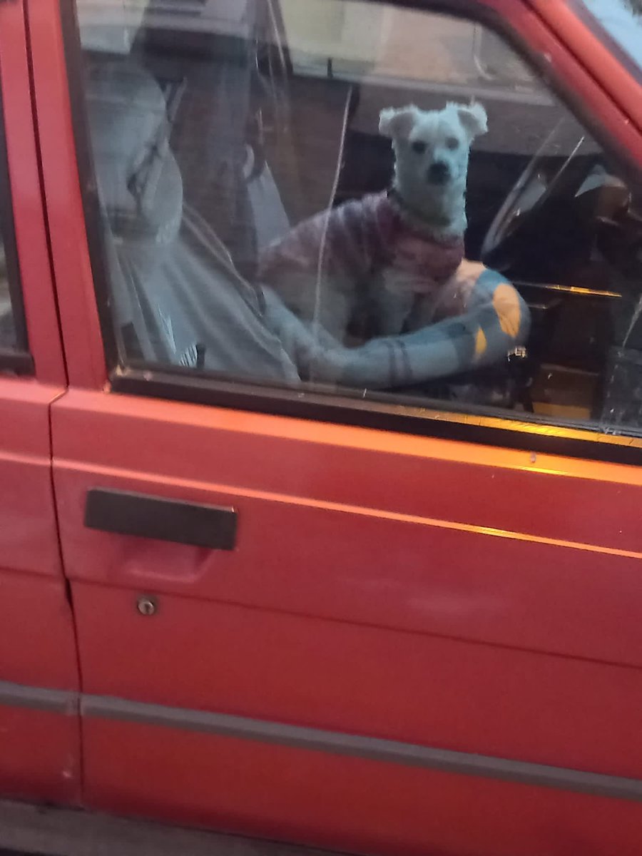 oskibirpug's tweet photo. arkadaşlar selam, kocamustafa paşa meydana yakın bir lokasyonda bir arabada köpek bakılıyor, hayvan bir aydır aynı arabanın içersinde..gece gündüz, sanırım mamasını gün içinde bırakıyorlar ama artık hayvana acıyorum, buz gibi havada ve güneşte hep arabada. Ne yapmamız gerekiyor? https://t.co/3gw3BTa0Eb