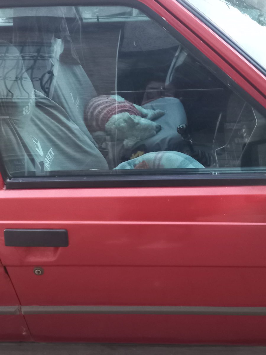 oskibirpug's tweet photo. arkadaşlar selam, kocamustafa paşa meydana yakın bir lokasyonda bir arabada köpek bakılıyor, hayvan bir aydır aynı arabanın içersinde..gece gündüz, sanırım mamasını gün içinde bırakıyorlar ama artık hayvana acıyorum, buz gibi havada ve güneşte hep arabada. Ne yapmamız gerekiyor? https://t.co/3gw3BTa0Eb