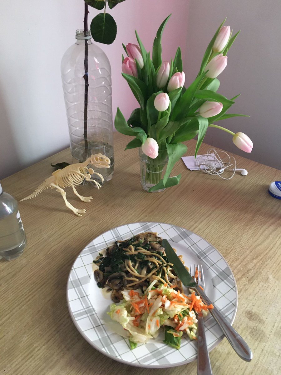 Flores ajudam a colorir o ambiente e trazer vida para um local. Também ajudam a diminuir o estresse do trabalho e aumentam o apetite. Fonte? Eu mesmo.
