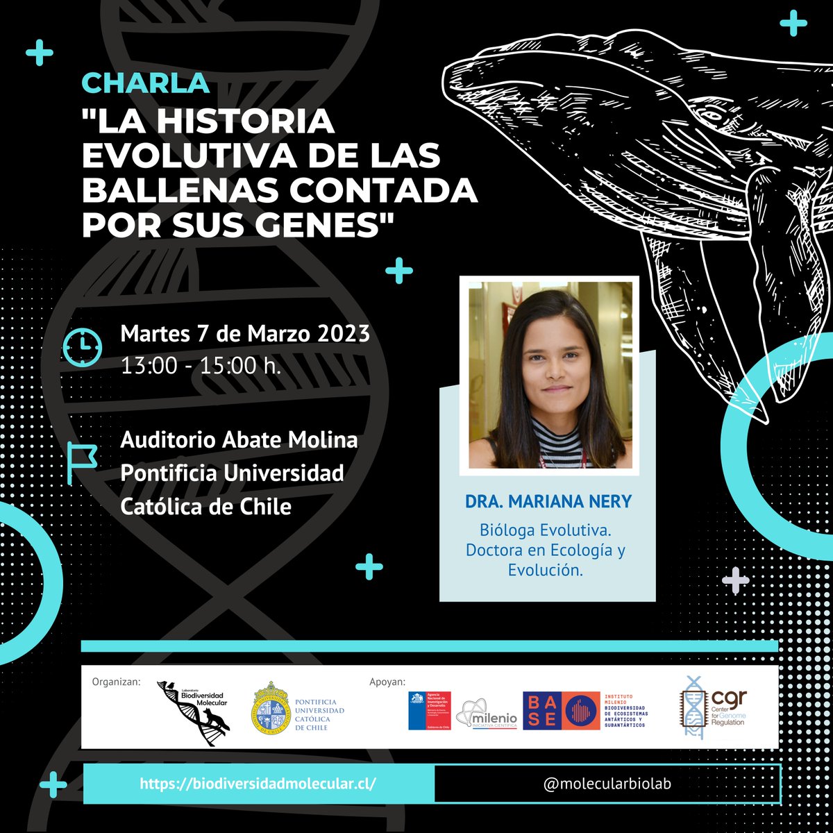 Instituto Milenio BASE (@mileniobase) on Twitter photo INVITACIÓN🗓️| "La historia evolutiva de las ballenas contada por sus genes" 🐋 charla presencial que será dictada por la Doctora en Ecología y Evolución, Mariana Nery @marianafnery
👉Organizada por <a href="/ucatolica/">Universidad Católica</a> y el laboratorio <a href="/molecularbiolab/">Laboratorio Biodiversidad Molecular</a> de la Dra. Juliana Vianna INVITACIÓN🗓️| "La historia evolutiva de las ballenas contada por sus genes" 🐋 charla presencial que será dictada por la Doctora en Ecología y Evolución, Mariana Nery @marianafnery
👉Organizada por <a href="/ucatolica/">Universidad Católica</a> y el laboratorio <a href="/molecularbiolab/">Laboratorio Biodiversidad Molecular</a> de la Dra. Juliana Vianna