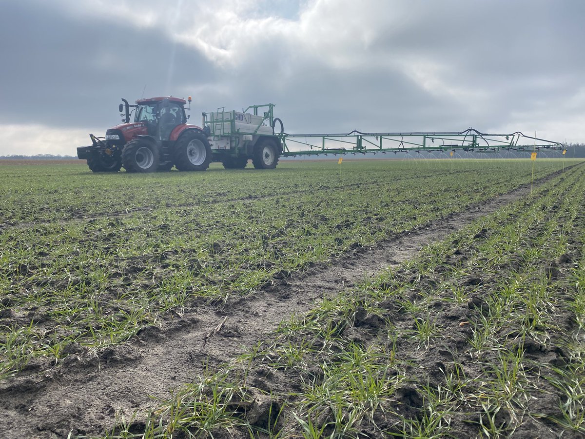 debeik's tweet photo. Voorjaar !
Mooie omstandigheden voor de bemesting #NTS op de #spelt en #rogge proeven.
#Bayer https://t.co/6O3pGIv2dP