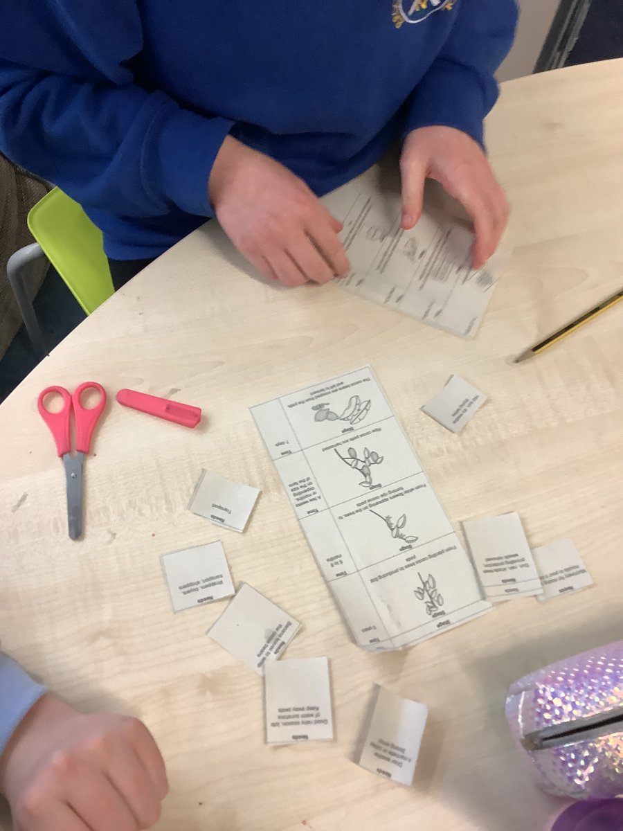 We have been learning all about Fairtrade. We looked at the journey of chocolate. Keep an eye in shops to see if you can spot any fairtrade products! 🍌🍌🍌🍫