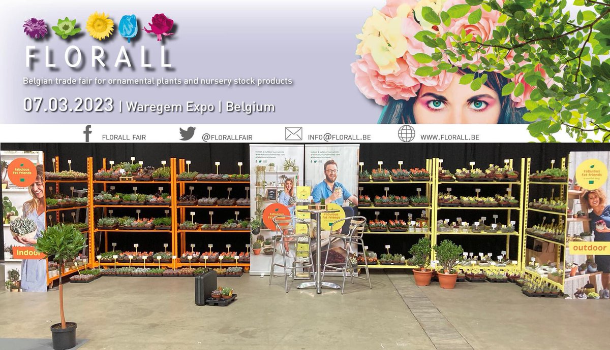 👉 Nu dinsdag 7 maart 2023 neemt Belgicactus BVBA – <a href="/fabfatfriends/">fabulous fat friends</a>  deel aan de <a href="/FLORALLfair/">FLORALL</a> voorjaarbeurs in Waregem Expo.

Tijdens deze beurs kan u live kennismaken met ons volledige assortiment. U kan ons vanaf 9 uur ’s ochtends tot 18 uur bezoeken op stand 106. Tot dan!