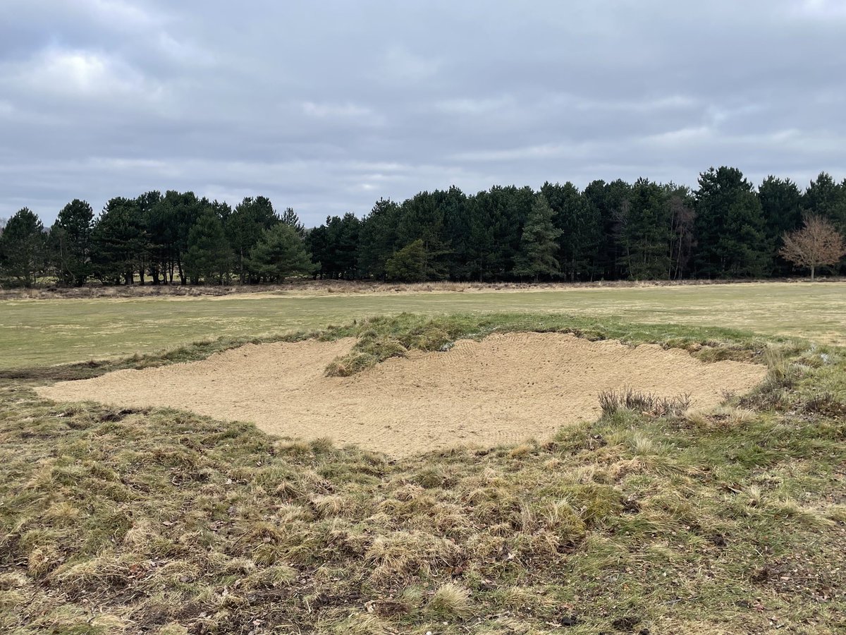 Patrick Brady tweet media