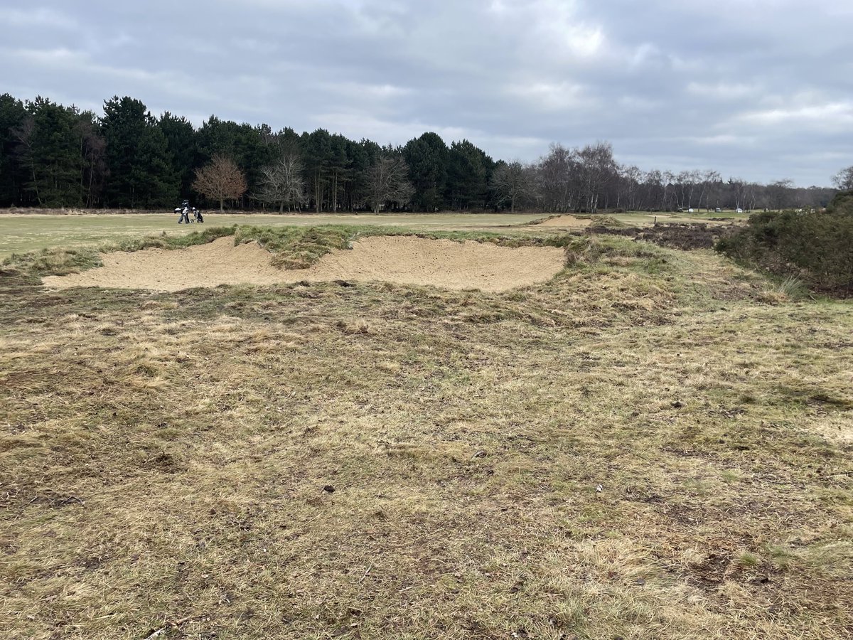 Patrick Brady tweet media