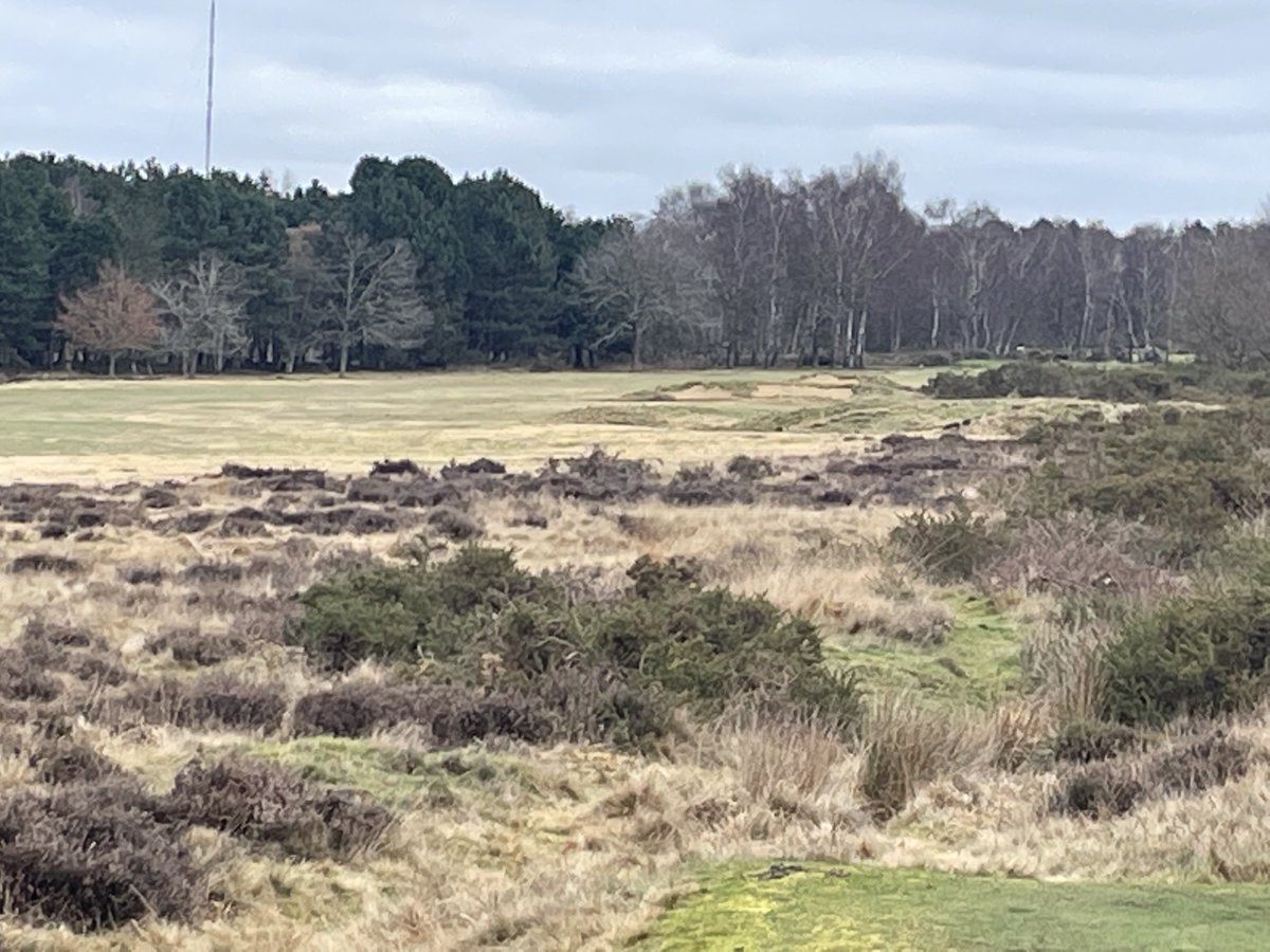 Patrick Brady tweet media