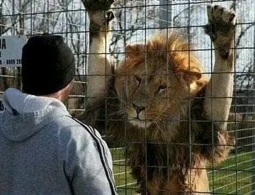 Yadlimpisi's tweet image. "What a nice gentleman, do you wanna come inside a have few beers?"