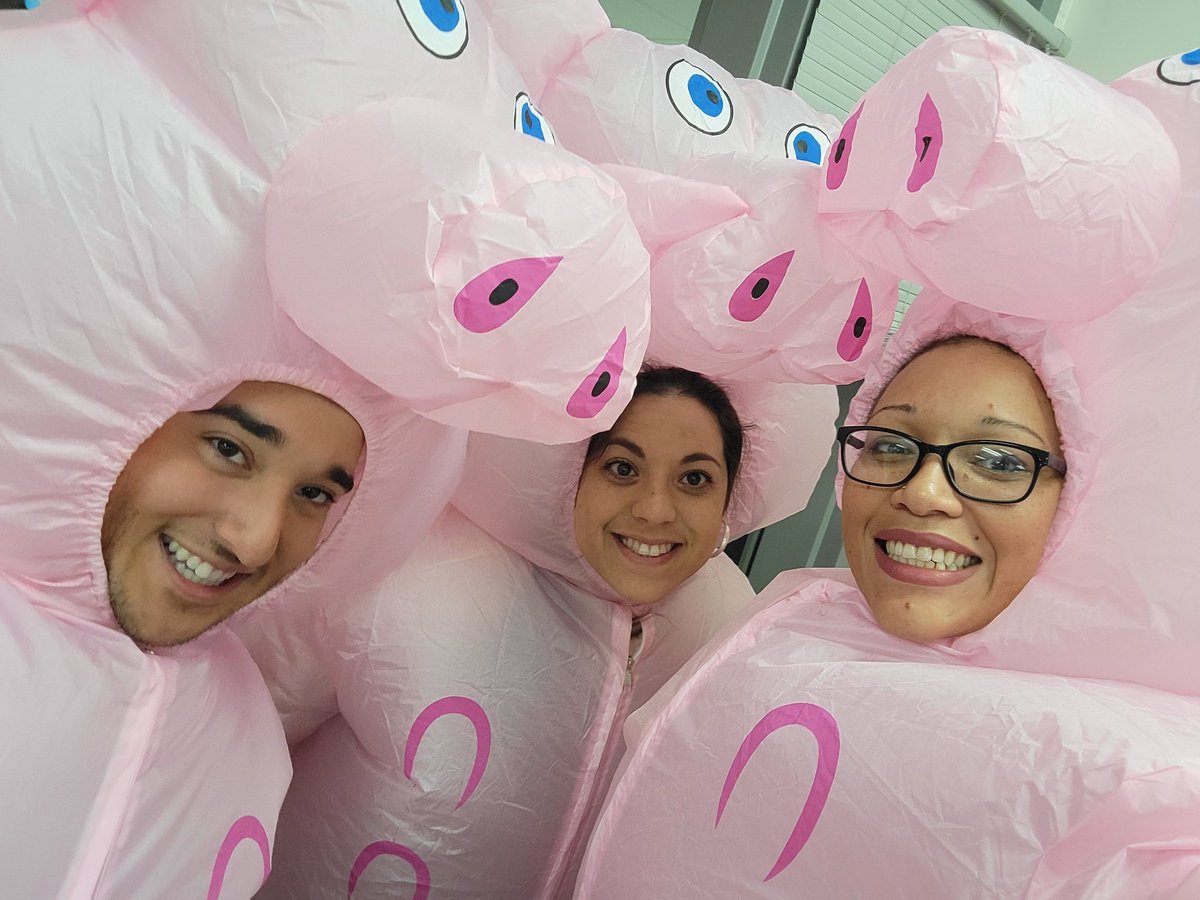 Happy book character day from your favorite 3 little pigs! #GoGPGators #bookcharacter #teachersarecool