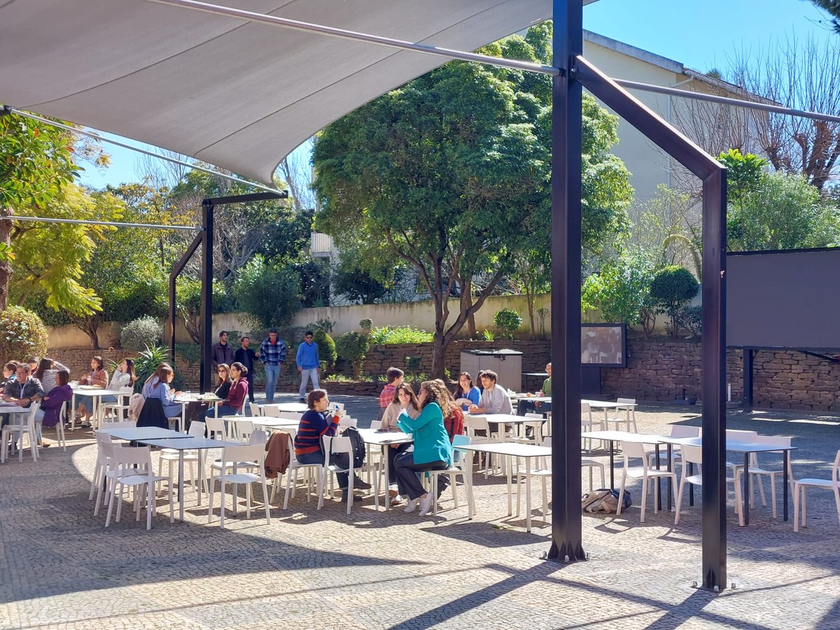 Building Bridges in Biology tweet media