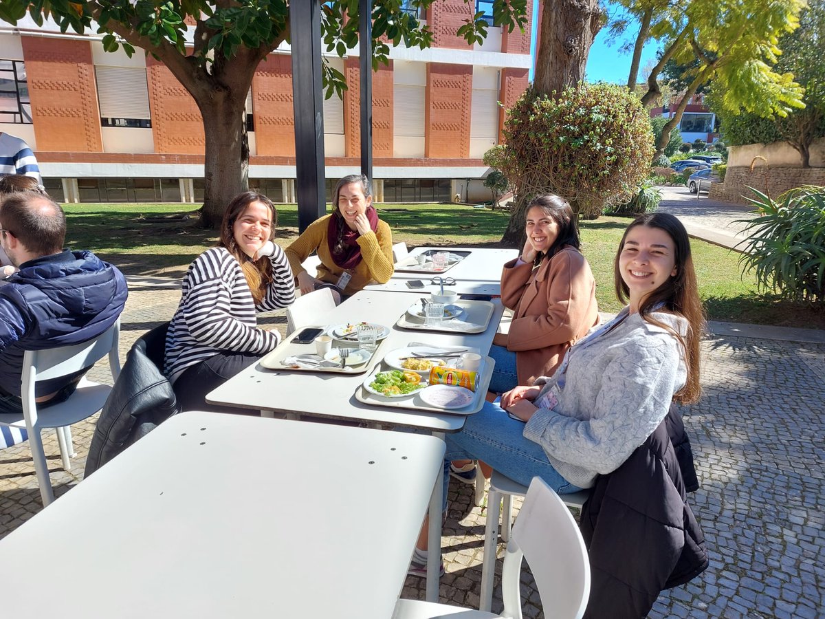 Building Bridges in Biology tweet media