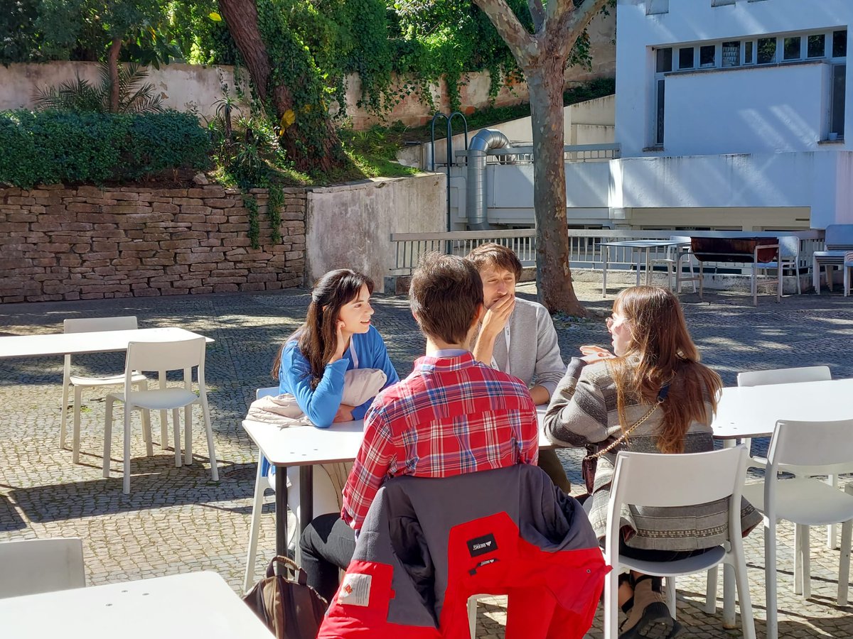 Building Bridges in Biology tweet media