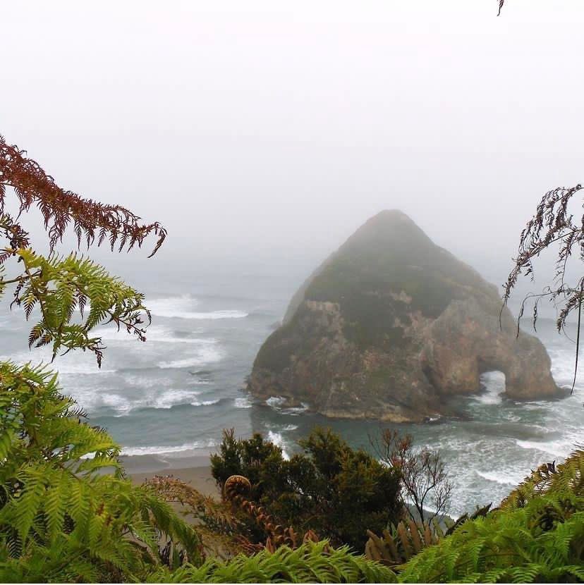 DefendamsChiloe's tweet photo. Duhatao/Chepu el lado oceánico salvaje de Chiloé .
📷 de @primitivo_chiloe https://t.co/cm5ezTBkH3