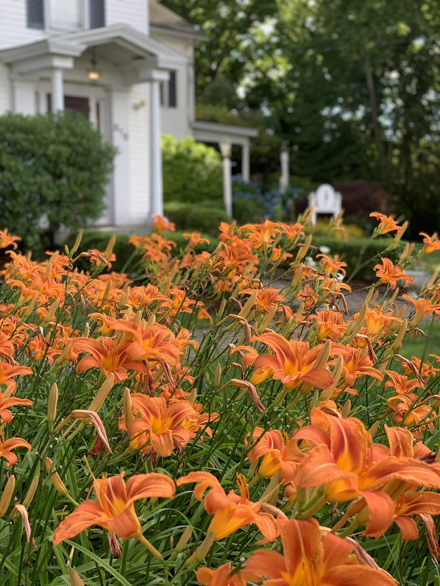 SeahorseInn's tweet photo. #freenight in March and April. Book Sun & Mon & get Tue #free at the Scranton Seahorse Inn. #madisonct #ctshoreline #bedandbreakfast #hotdeals #seahorseinn #Travel https://t.co/fM3OQq8WVi