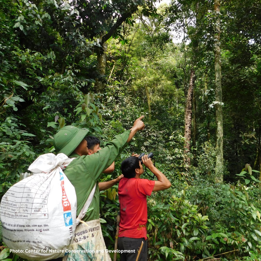 Global Forest Watch tweet media