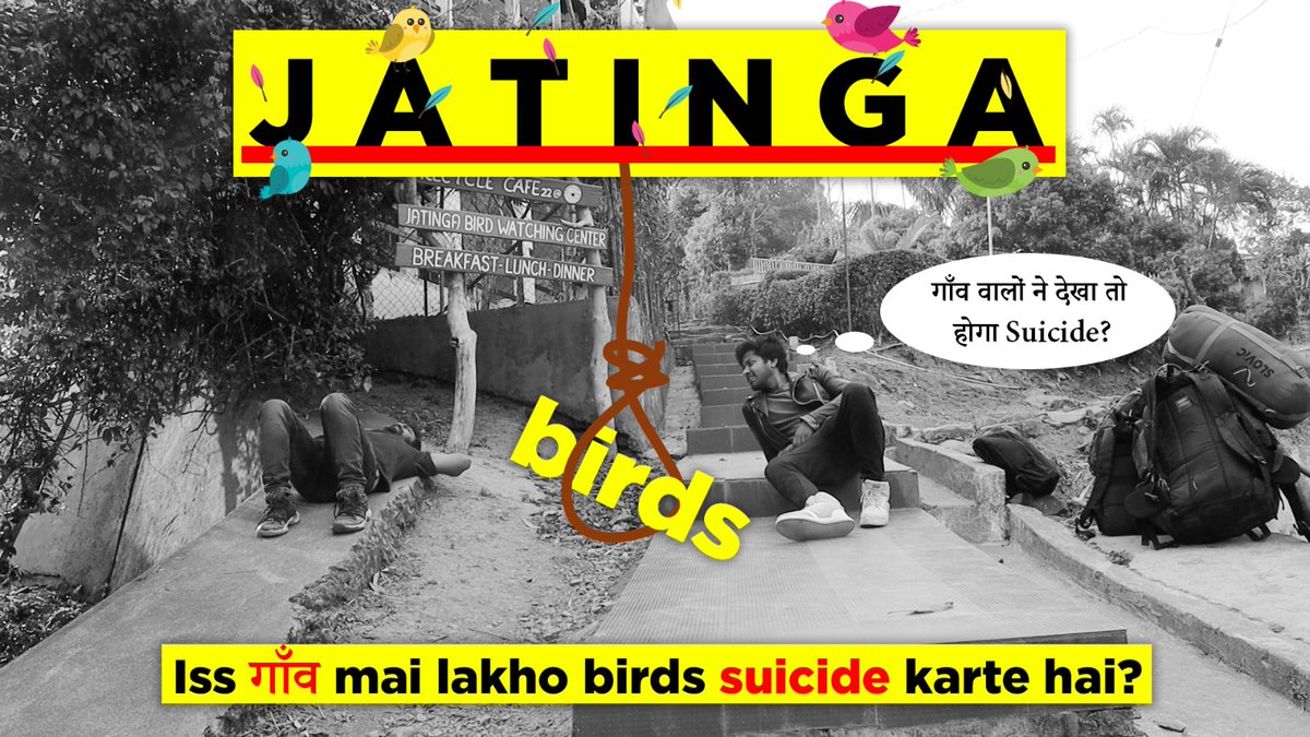 real_eKdin's tweet photo. Jatinga- Birds commit suicide here// Kya ye kahani hai ya sachai?
https://t.co/VMHXPBCHnv

#Jatinga #Suicide #Birdsuicide #Village #Ethnicvillage #Nature #Viral #Trending #Adventure #villagelife #tribe #india #haflong #ekdin https://t.co/X1XguBAfug