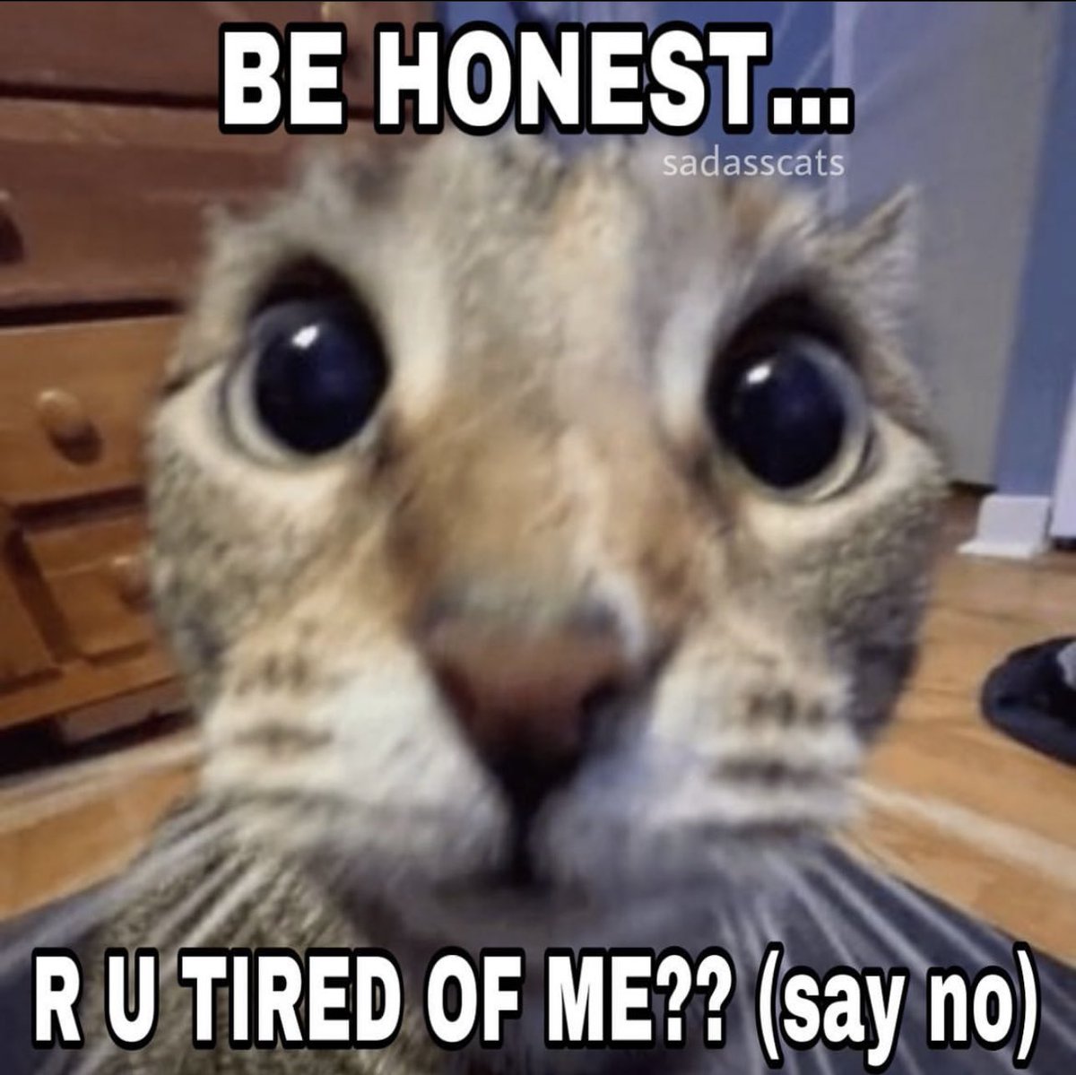 ᅠ  

ᅠᅠ            <a href="/JeanMyersx/">𝕁𝕖𝕒𝕟</a> 
ᅠ

ᅠ