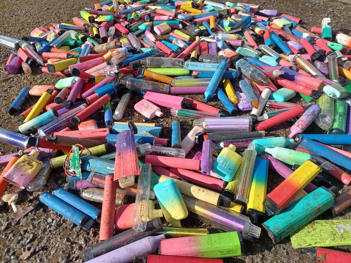 Rubyjones1926's tweet photo. 4️⃣8️⃣6️⃣ disposable vapes cleared off the streets of #Aylesbury by @AylesburyWombl1 in Feb.... &amp; that's all we know about 😱

@KeepBritainTidy @aogdennewton @JuliaBradbury @UKrubbishwalks @TalkRoberto @BBCBabs_michel @JustinDealey @AylesNews @RobBAylesbury @LessWasteLaura https://t.co/cbYdrliC9u
