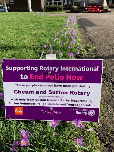 CheamSuttonRotary tweet media