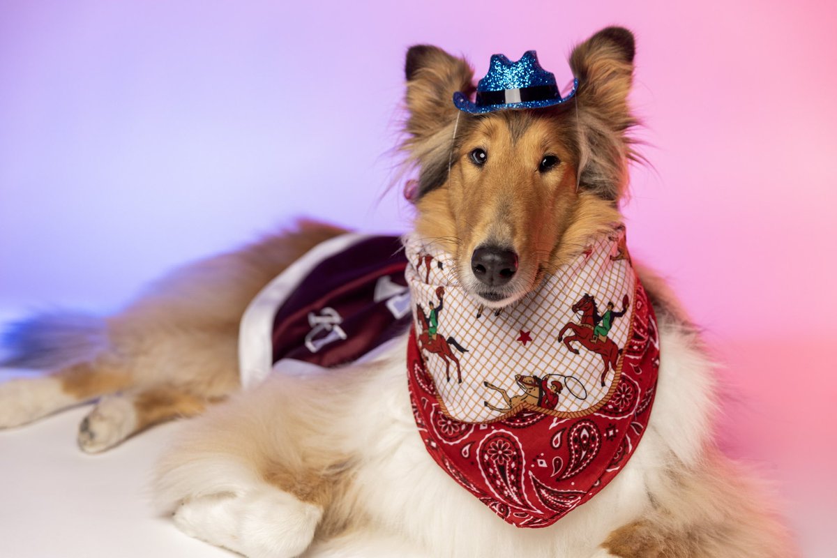Reveille X tweet media