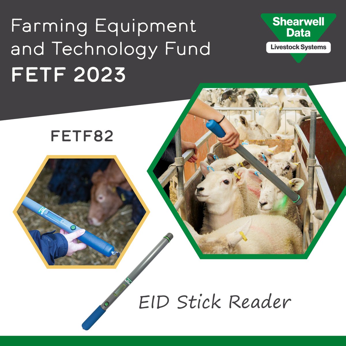 Shearwell Data Ltd tweet media