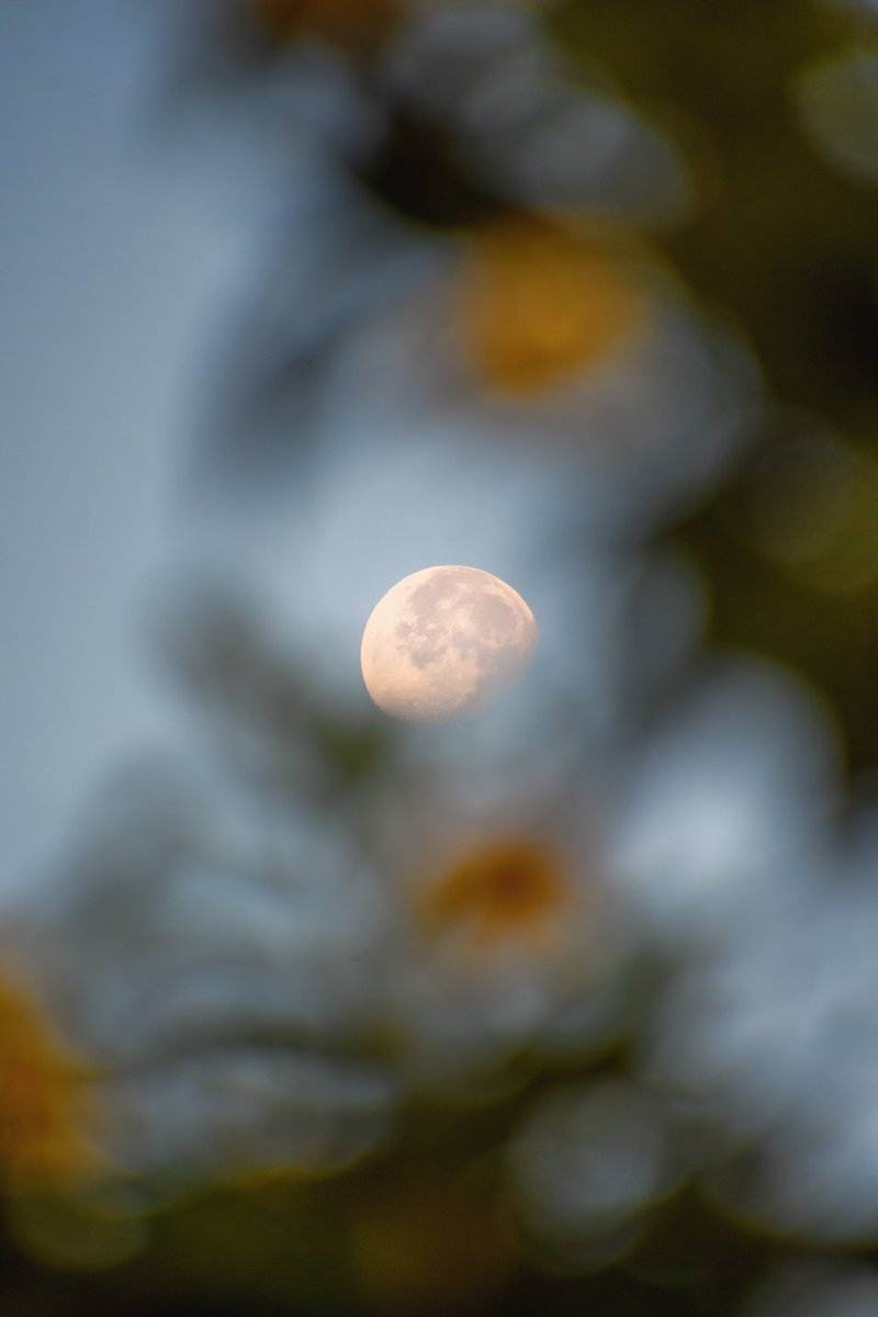 AdvaitNawathe's tweet photo. How can you not appreciate the moon https://t.co/uXHycMnDzH