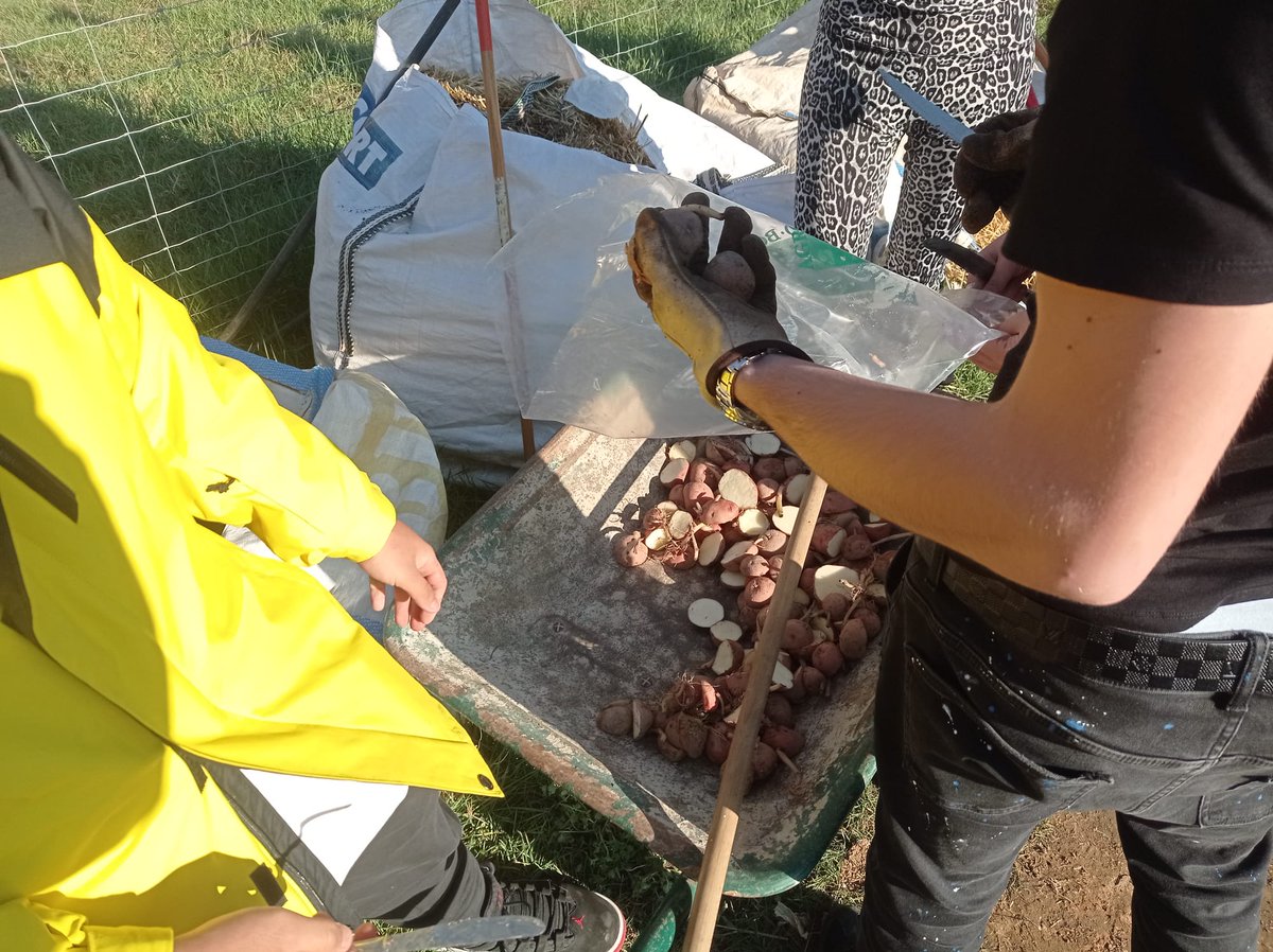 Manu6276's tweet photo. Fem una activitat d'horticultura terapèutica amb els nois del programa Aixeca't, dirigida per Andrea Costas experta en aquesta matèria. https://t.co/MDIOFiCi93