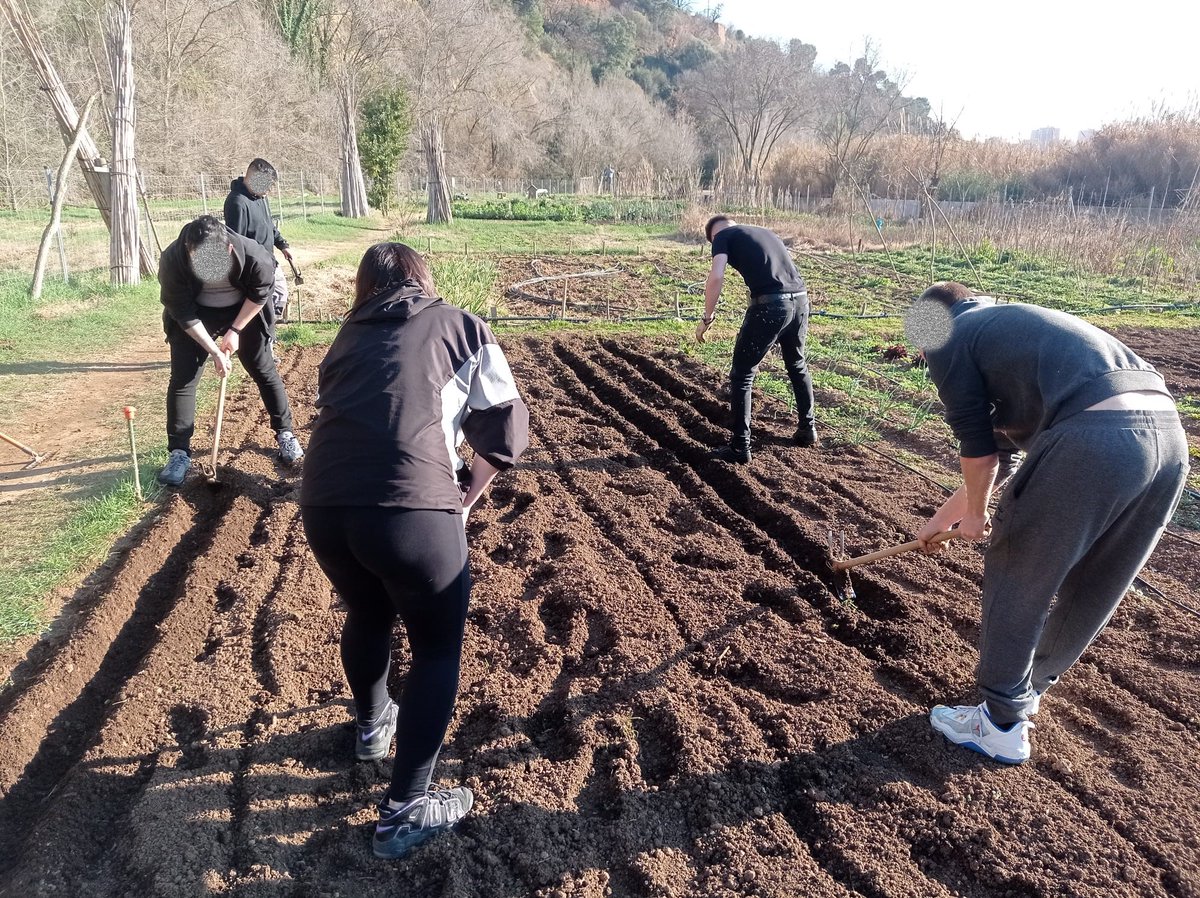 Manu6276's tweet photo. Fem una activitat d'horticultura terapèutica amb els nois del programa Aixeca't, dirigida per Andrea Costas experta en aquesta matèria. https://t.co/MDIOFiCi93