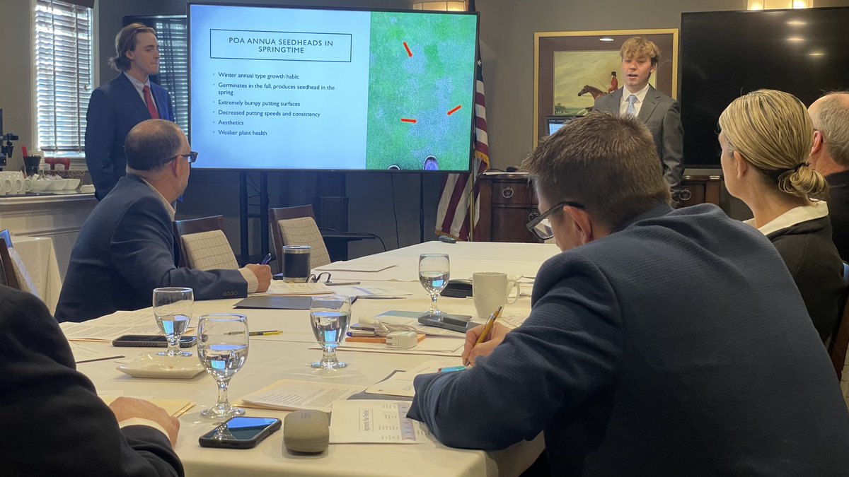 iTweetTurf's tweet image. Forgot to take pic of second group but third group up now.