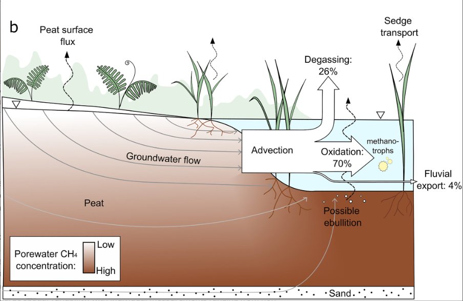 My first foray into #peatland research is now published in <a href="/JGRBiogeo/">Journal of Geophysical Research: Biogeosciences</a>. To answer your question, yes, tropical #peatland drainage #canals are substantial but not dominant #methane emitters as shown with #carbon #isotopes and numerical modelling. 
Article: agupubs.onlinelibrary.wiley.com/doi/full/10.10…