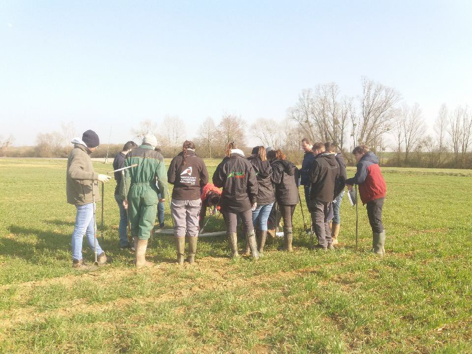 Formation sols des conseillers #ChambAgri &amp; Arvalis dans le cadre d’ACSE, Air-Climat-Sol-Energie
20 collab. à St Hilaire en Woevre pr lancer les travaux sur la MAJ des réf. sur les fournitures en azote et le changement climatique ainsi que l'appropriation du référentiel typterres