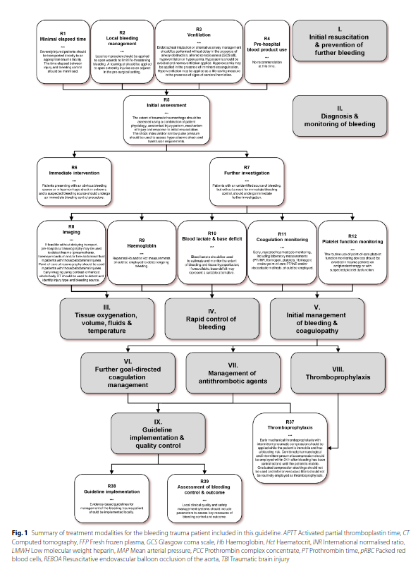 CritCareReviews's tweet photo. The European guideline on management of major bleeding and coagulopathy following trauma: sixth edition
https://t.co/vxPtq7Mmwj

CCR Journal Watch
https://t.co/Sp06oA6IDG https://t.co/ZnPpgjSMj9