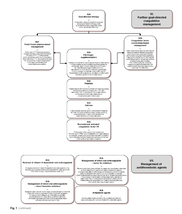 CritCareReviews's tweet photo. The European guideline on management of major bleeding and coagulopathy following trauma: sixth edition
https://t.co/vxPtq7Mmwj

CCR Journal Watch
https://t.co/Sp06oA6IDG https://t.co/ZnPpgjSMj9