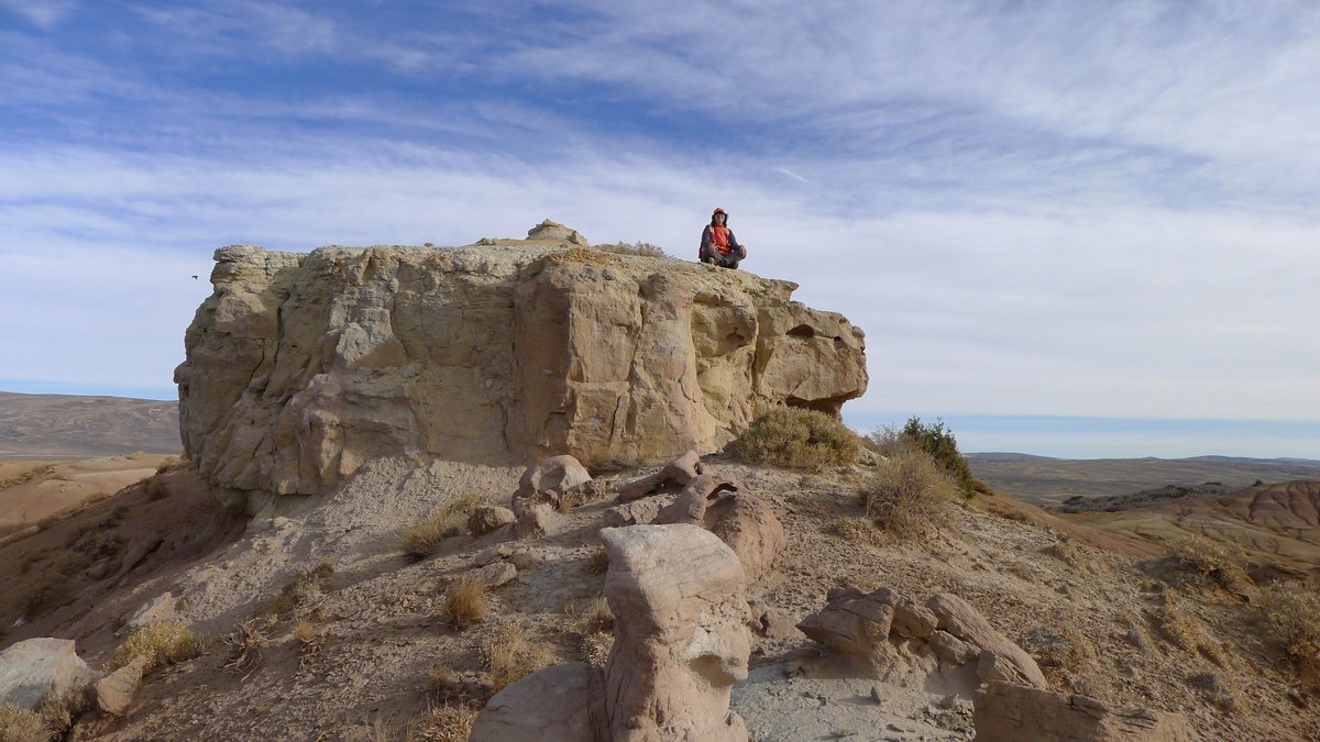 WyGeoSurvey's tweet image. Geologist Kelsey Kehoe contemplates the structure of the Red Creek syncline from atop a river channel sandstone in the Eocene Wasatch Formation, SW #Wyoming. 📸was taken while in the field collecting data for a #geologicmap that you could win—just fill out our survey! 1/2
