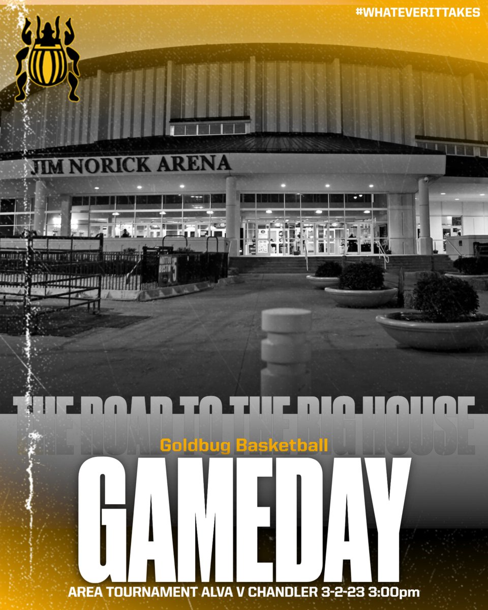 GoldbugsBB tweet media