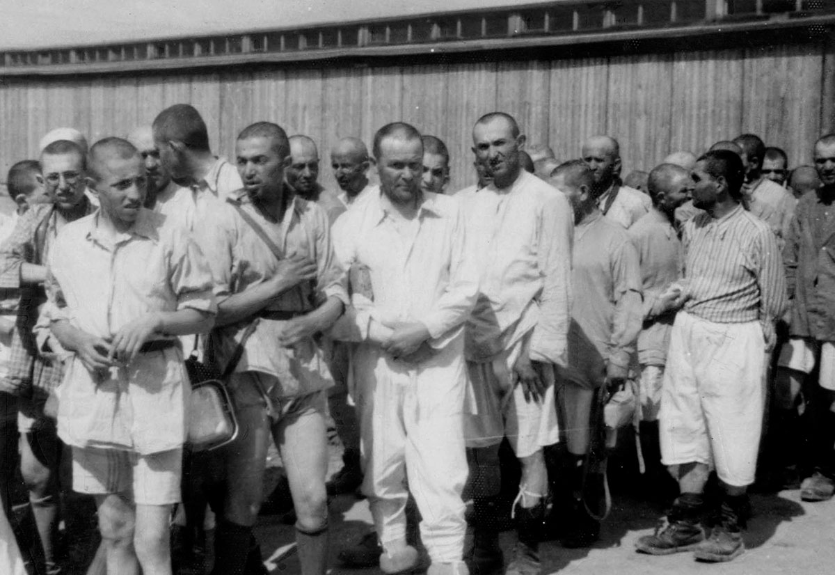 auschwitzxhibit's tweet photo. Jews chosen for slave labor after becoming prisoners of #Auschwitz, 1944. 

Their personal belongings were confiscated, their hair was shaved and a registration number was tattooed on their left arm. https://t.co/p8GP2N1f1b