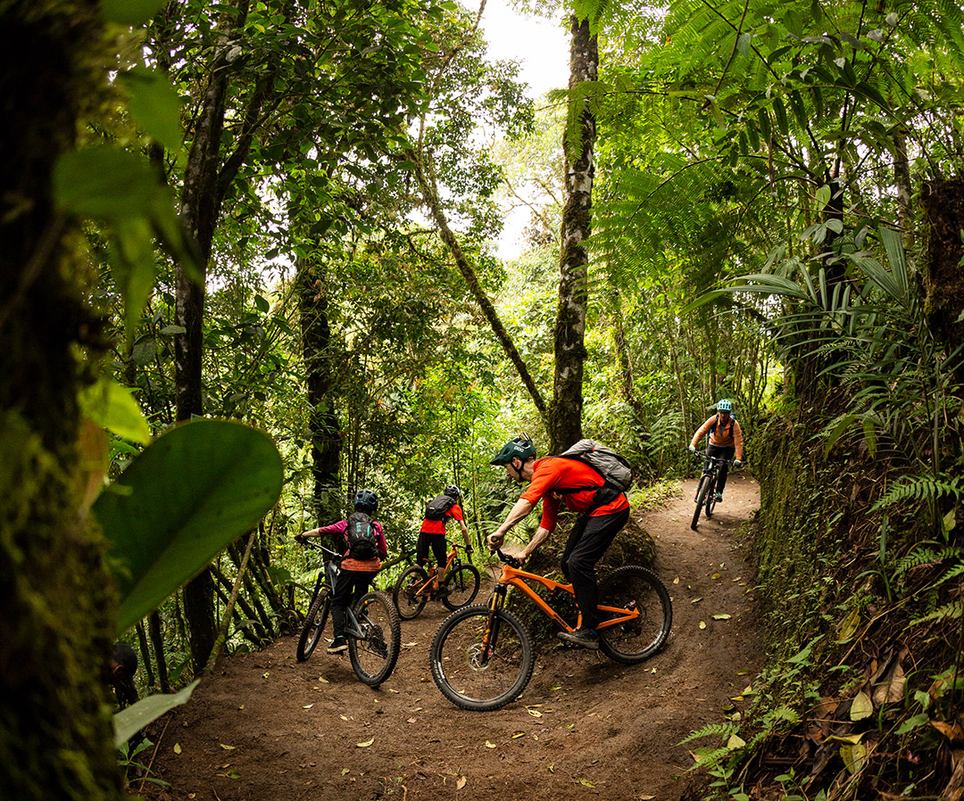 Are you getting in some late winter rides or just dreaming up new warm weather hits?

#bikeseason #spring #fakespring #mtb #trail #explore #seasonplanning #fromwhereiride #bikeviews #trailviews